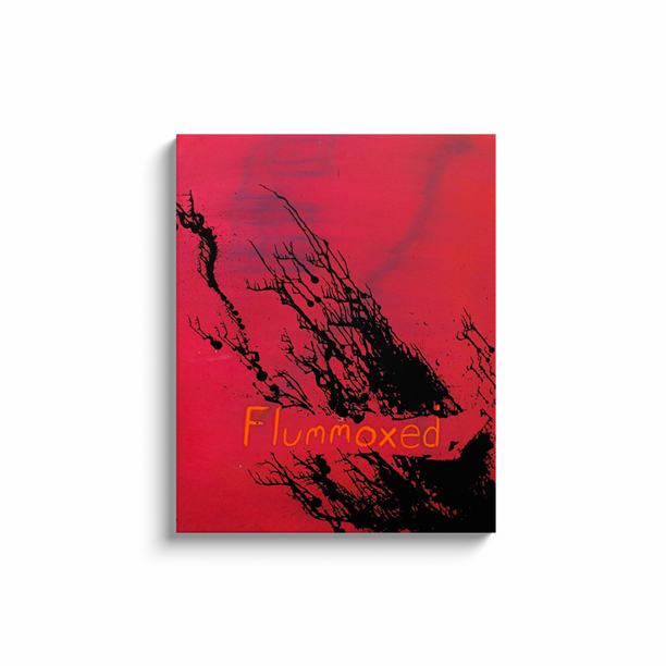 Flummoxed - Acrylic on Canvas Wrap - Deego Design