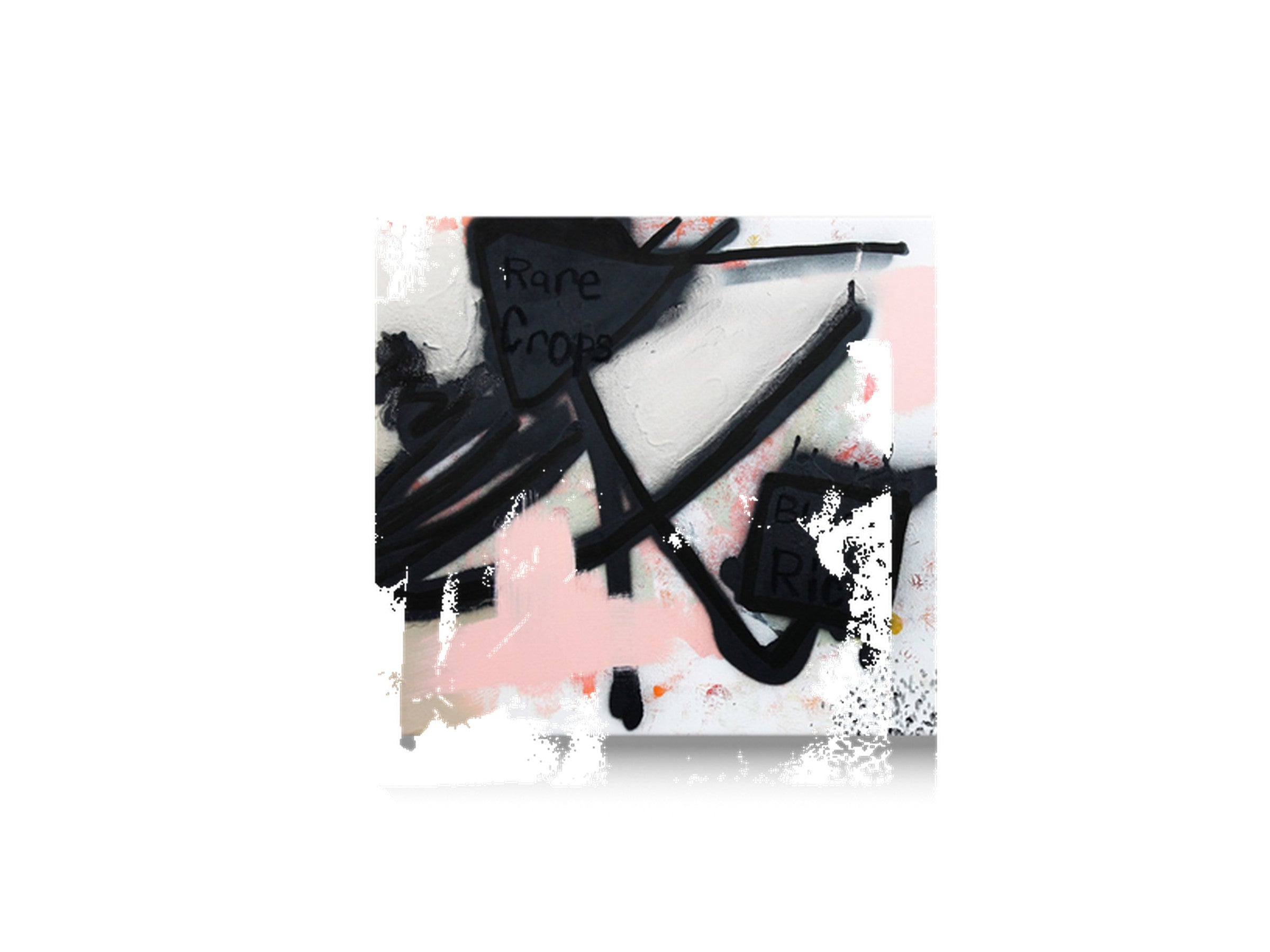 Black Rice canvas